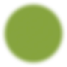 PNMDigi Footer cirlce